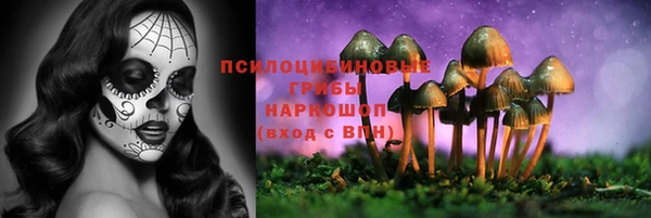 spice Покров